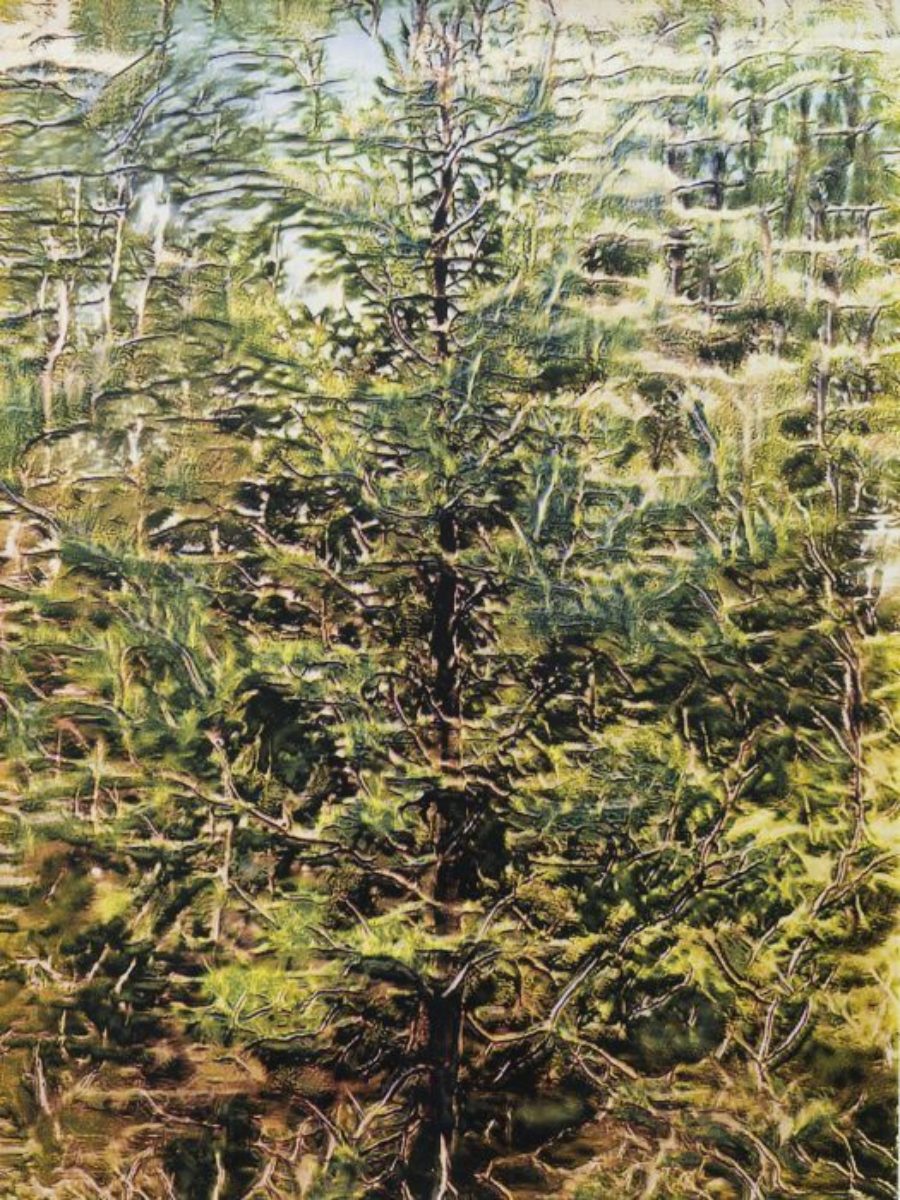 Trestudie 525X700