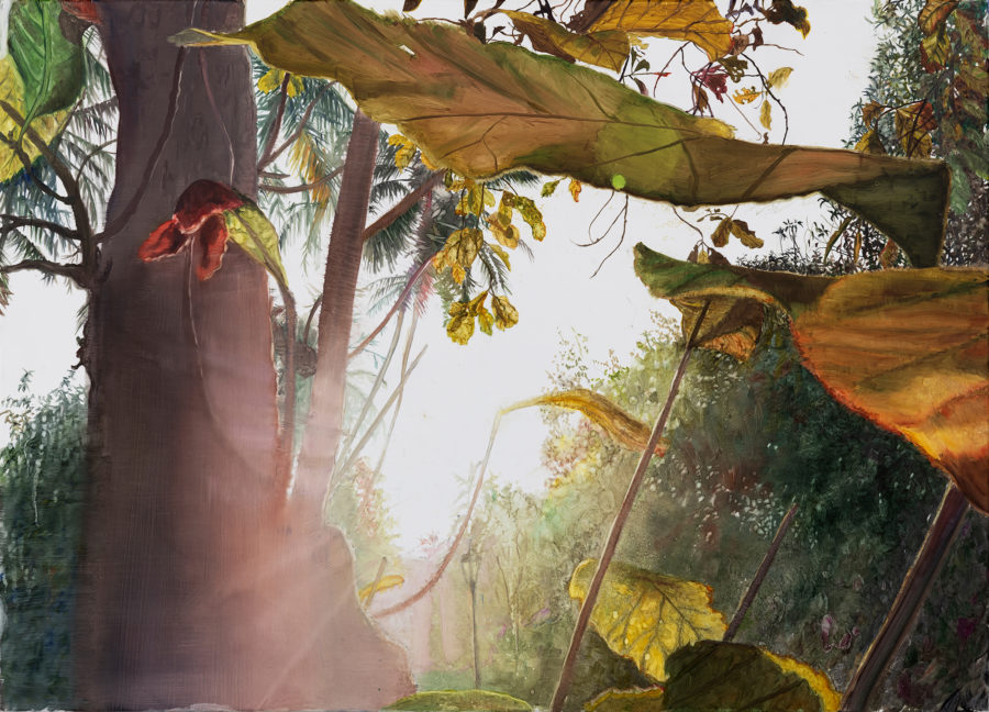 Vs19 08 Kalari 50 X 70 Cm Web